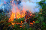 Önkormányzatok: betiltják az avar és kerti hulladék égetését?